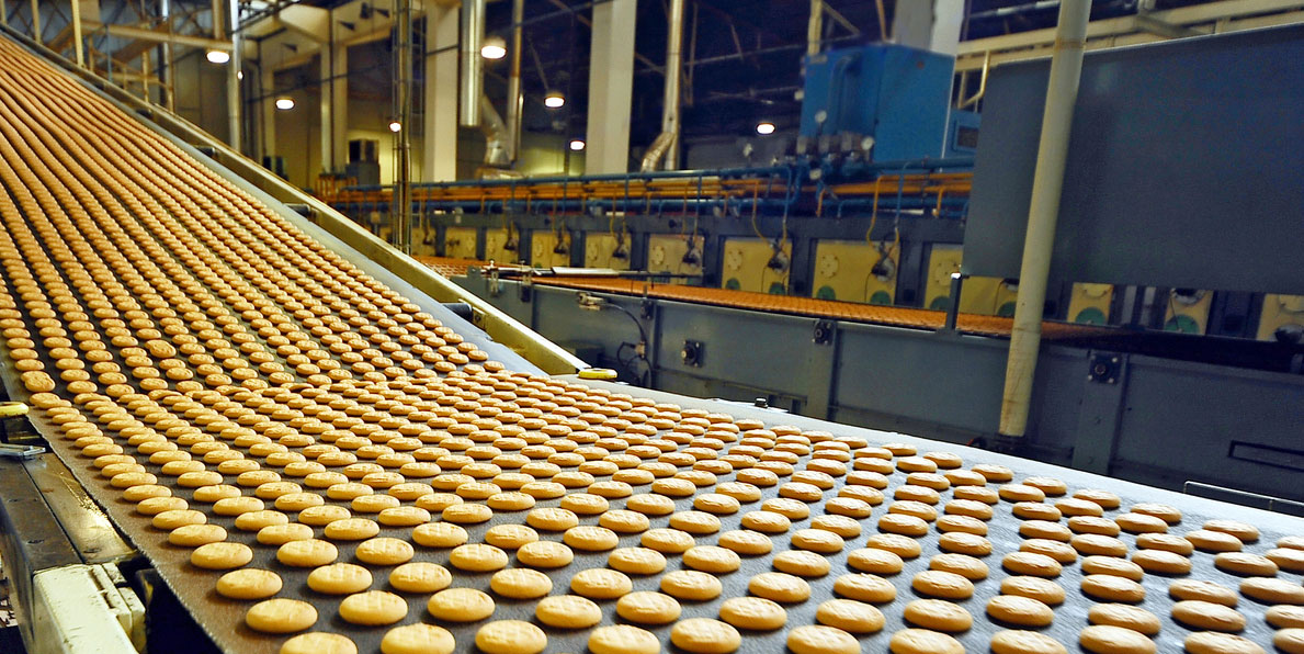 food processing lighting