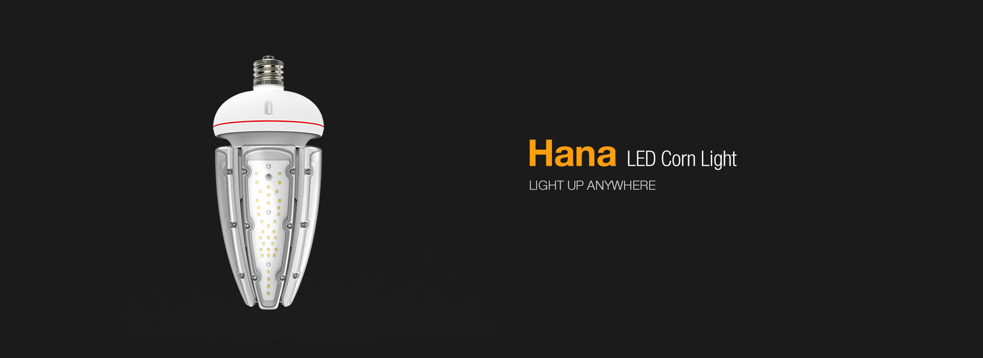 Hana LED Corn Light